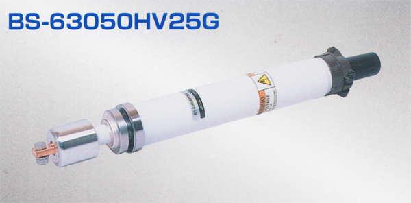 高電壓導入端子